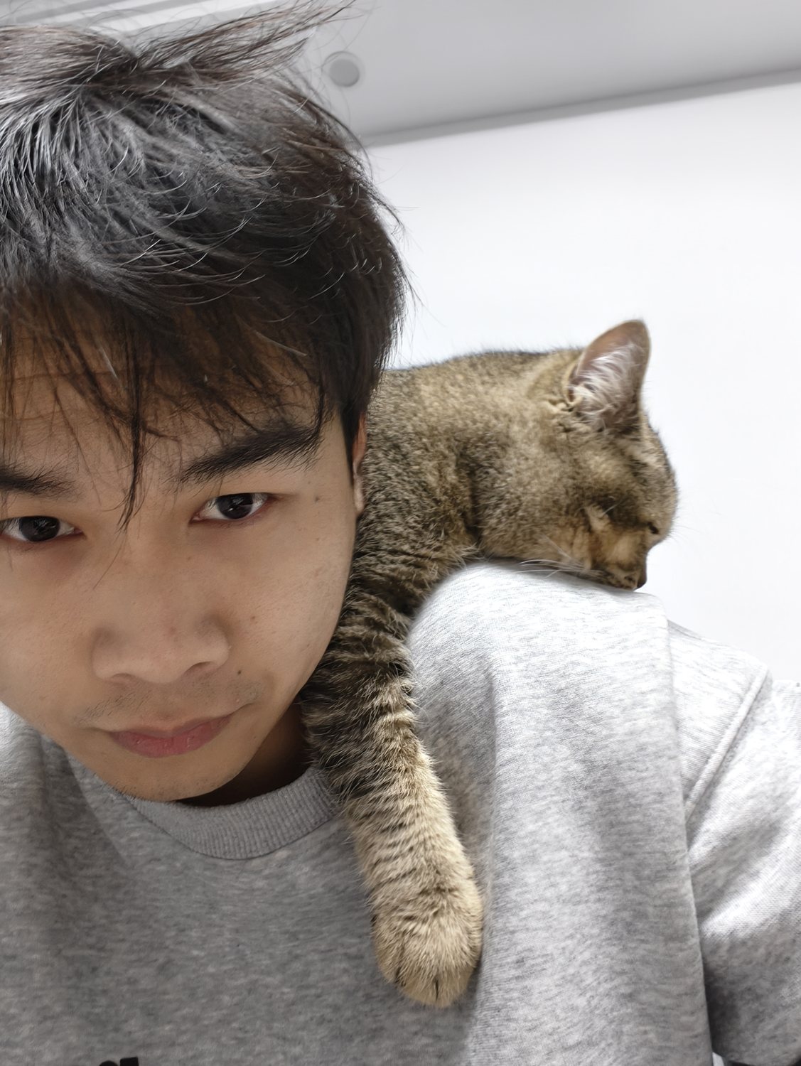 郑仁清和趴在肩膀旁的小猫
